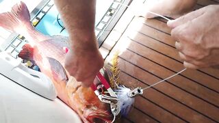 Hallaniyat Islands (архипелаг Халаният), Оман. Рыбалка у рифов и свалов.