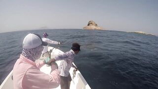 Hallaniyat (Халаният), Оман. GT и крупная рыба у берега 01.03.2017.