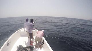 Hallaniyat (Халаният), Оман. GT и крупная рыба у берега 01.03.2017.