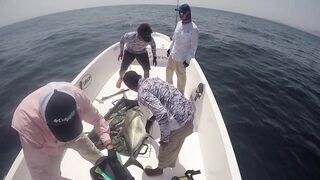 Hallaniyat (Халаният), Оман. GT и крупная рыба у берега 01.03.2017.