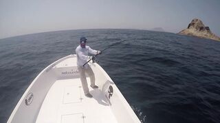 Hallaniyat (Халаният), Оман. GT и крупная рыба у берега 01.03.2017.