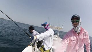 Hallaniyat (Халаният), Оман. GT и крупная рыба у берега 01.03.2017.