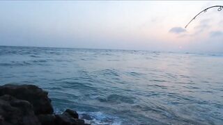 Hallaniyat Islands (архипелаг Халаният). Поппинг и джиг у берега Омана.