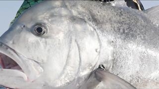 Hallaniyat Islands (архипелаг Халаният). Поппинг и джиг у берега Омана.