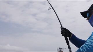 Hallaniyat Islands (архипелаг Халаният). Поппинг и джиг у берега Омана.