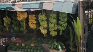 Hallaniyat Islands (архипелаг Халаният). Поппинг и джиг у берега Омана.