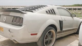 Hallaniyat Islands (архипелаг Халаният). Поппинг и джиг у берега Омана.