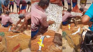 Beruwala (Берувала), морская рыбалка у берега