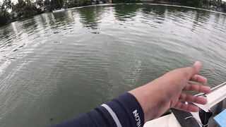 Bentota (Бентота), Sri Lanka (Шри-Ланка): рыбалка у рифа по мангровому луциану