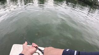 Bentota (Бентота), Sri Lanka (Шри-Ланка): рыбалка у рифа по мангровому луциану