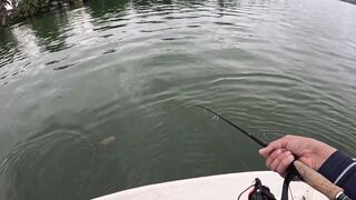 Bentota (Бентота), Sri Lanka (Шри-Ланка): рыбалка у рифа по мангровому луциану