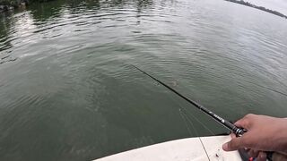 Bentota (Бентота), Sri Lanka (Шри-Ланка): рыбалка у рифа по мангровому луциану