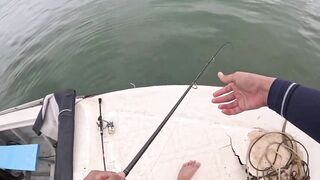 Bentota (Бентота), Sri Lanka (Шри-Ланка): рыбалка у рифа по мангровому луциану