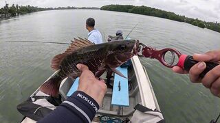 Bentota (Бентота), Sri Lanka (Шри-Ланка): рыбалка у рифа по мангровому луциану