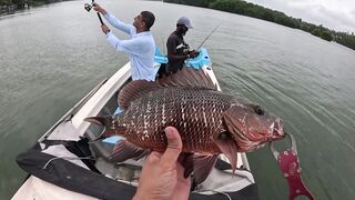 Bentota (Бентота), Sri Lanka (Шри-Ланка): рыбалка у рифа по мангровому луциану