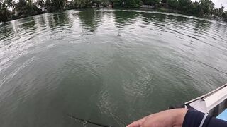 Bentota (Бентота), Sri Lanka (Шри-Ланка): рыбалка у рифа по мангровому луциану