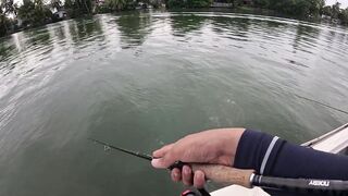 Bentota (Бентота), Sri Lanka (Шри-Ланка): рыбалка у рифа по мангровому луциану