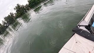 Bentota (Бентота), Sri Lanka (Шри-Ланка): рыбалка у рифа по мангровому луциану