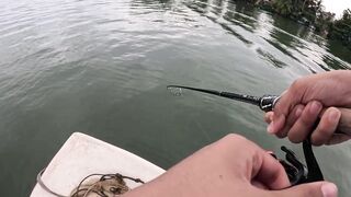 Bentota (Бентота), Sri Lanka (Шри-Ланка): рыбалка у рифа по мангровому луциану