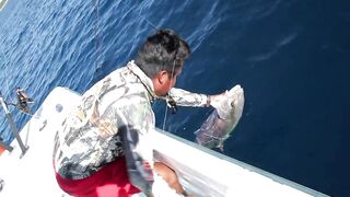 Playa del Carmen (Плая-дель-Кармен), Mexico (Мексика) крупный джек и морская рыбалка