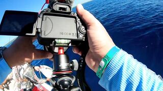 Playa del Carmen (Плая-дель-Кармен), Mexico (Мексика) крупный джек и морская рыбалка