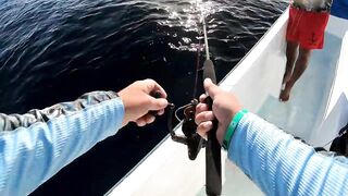 Playa del Carmen (Плая-дель-Кармен), Mexico (Мексика) крупный джек и морская рыбалка