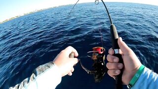 Playa del Carmen (Плая-дель-Кармен), Mexico (Мексика) крупный джек и морская рыбалка