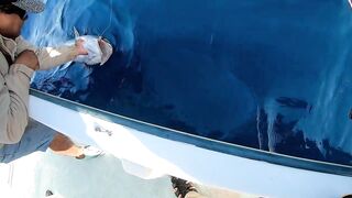 Playa del Carmen (Плая-дель-Кармен), Mexico (Мексика) крупный джек и морская рыбалка