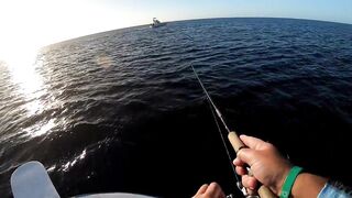 Playa del Carmen (Плая-дель-Кармен), Mexico (Мексика) крупный джек и морская рыбалка