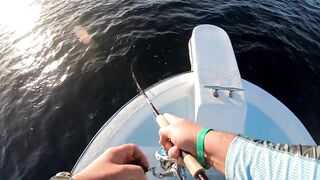 Playa del Carmen (Плая-дель-Кармен), Mexico (Мексика) крупный джек и морская рыбалка