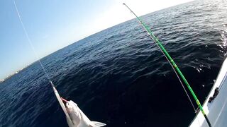 Playa del Carmen (Плая-дель-Кармен), Mexico (Мексика) крупный джек и морская рыбалка