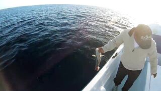 Playa del Carmen (Плая-дель-Кармен), Mexico (Мексика) крупный джек и морская рыбалка