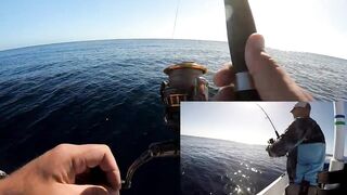 Playa del Carmen (Плая-дель-Кармен), Mexico (Мексика) крупный джек и морская рыбалка