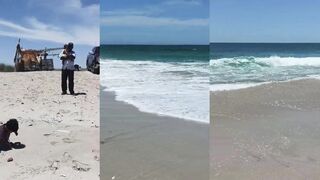 Sur (Сур), Muscat (Маскат) и Salalah (Салала) рыбалка в Омане что по берегу?