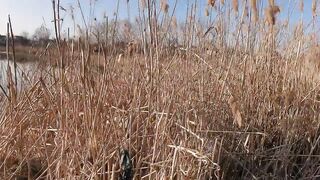 Пятихатки, Краснодарский край рыбалка между Анапой и Витязево