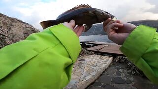 Каш полуостров ловим с берега что по приманкам?