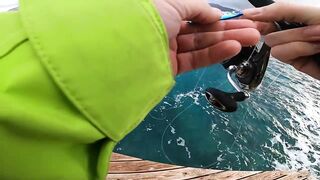 Каш полуостров ловим с берега что по приманкам?