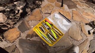 Каш полуостров ловим с берега что по приманкам?