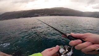 Каш полуостров ловим с берега что по приманкам?