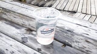 Каш, Турция октябрь охота на фугу у берега