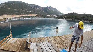 Каш, Турция октябрь охота на фугу у берега