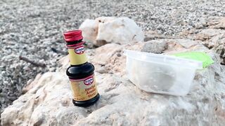 Каш, Турция утренняя рыбалка в чистой воде