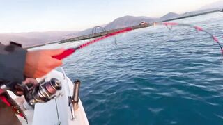 Antalya (Анталья), Finike (Финике) береговая рыбалка у порта