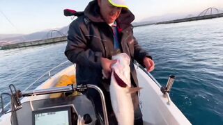 Antalya (Анталья), Finike (Финике) береговая рыбалка у порта