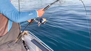 Antalya (Анталья), Finike (Финике) береговая рыбалка у порта