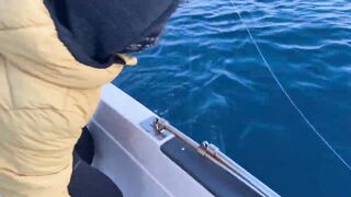 Antalya (Анталья), Finike (Финике) береговая рыбалка у порта