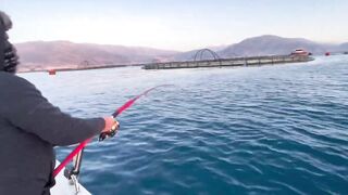 Antalya (Анталья), Finike (Финике) береговая рыбалка у порта