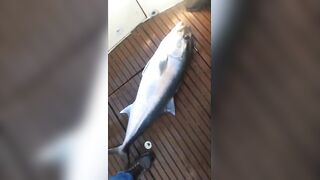 Antalya (Анталья), Finike (Финике) рыбалка у берега что по клюву?