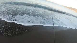 Finike (Финике) LRF с берега и лёгкие приманки