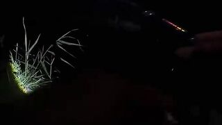 Река Аксу - трофей ищем у бровки, ночёвка на берегу